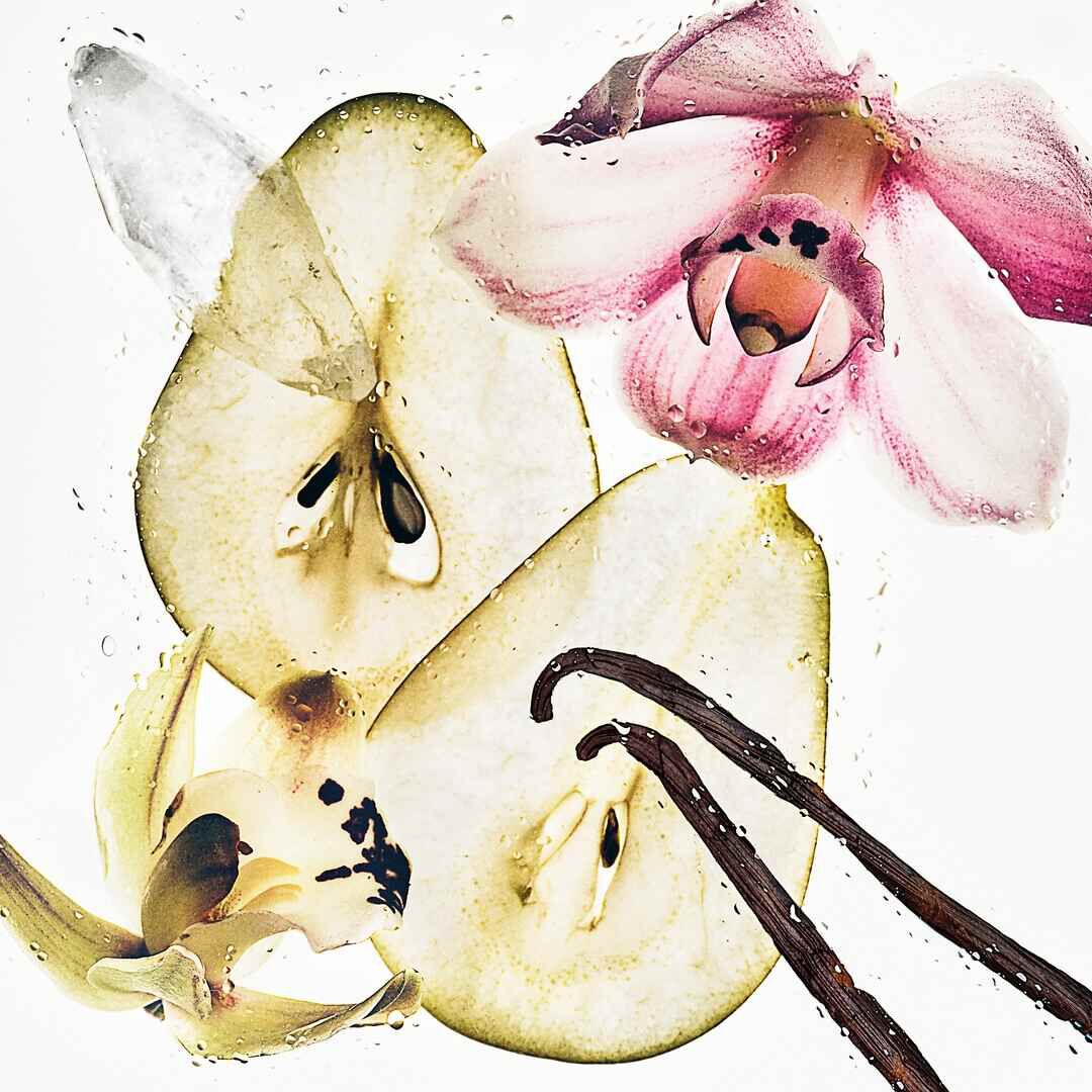 CK NUDE VANILLA Bruma Corpo e Cabelo